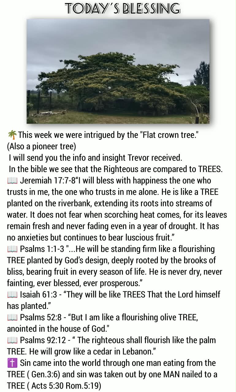 Flat crown tree